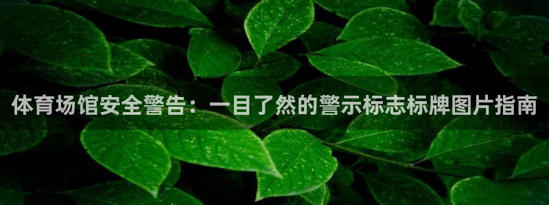 尊龙凯时
