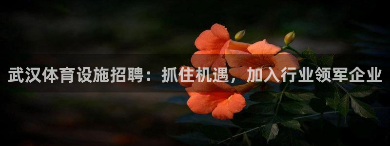 尊龙人生就是博登录网址下载