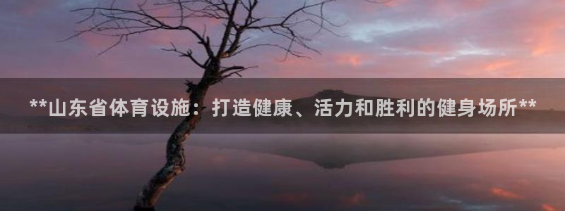 尊龙Ag