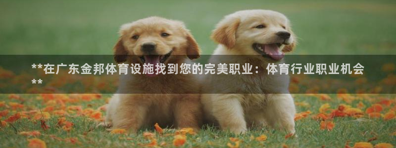 凯时AG网
