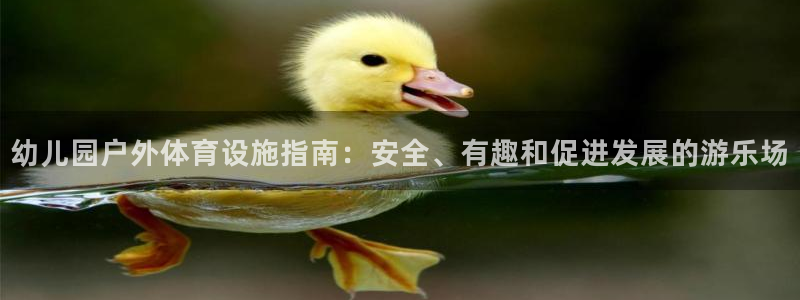 尊龙官方网站最新版V9.3.06