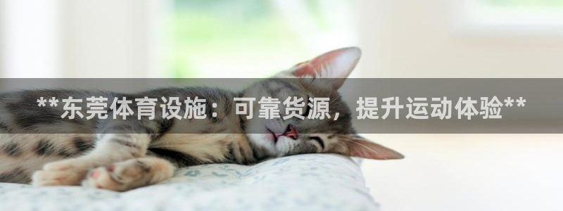 z6尊龙凯时集团
