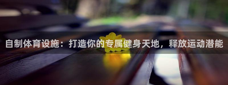 尊龙体育游戏平台