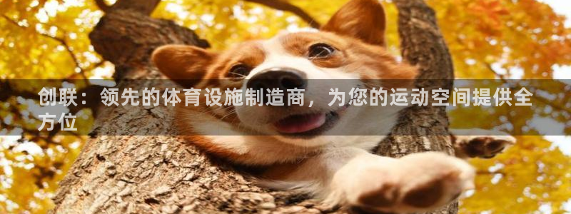 尊龙官网APP下载