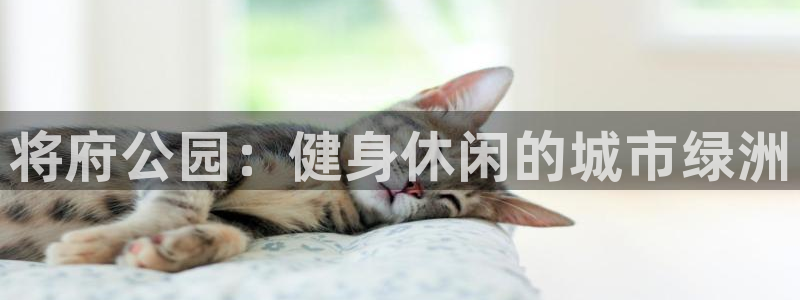 尊龙登录会员登录