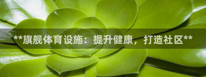 凯时尊龙官网网址