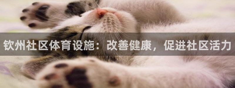 尊龙凯时捕鱼游戏能玩吗
