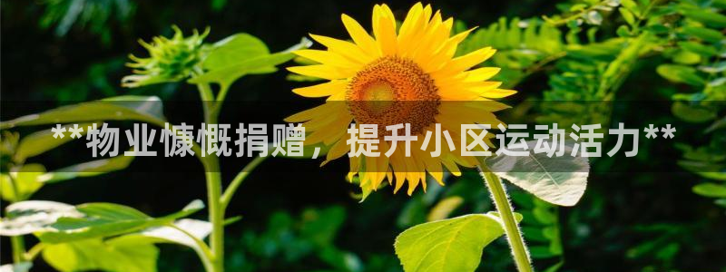 ZL尊龙凯时集团