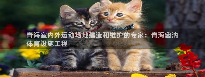 凯时app赢AG发财网来就送38