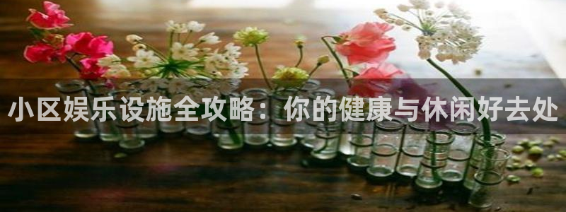 凯时官网手机版首页