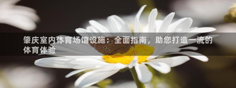 尊龙官网免费下载