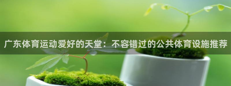 尊龙官方网站最新版V9.3.06