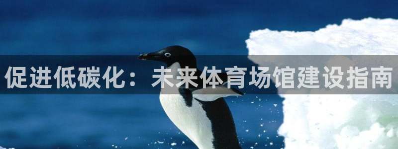 凯时国际平台有人赢吗