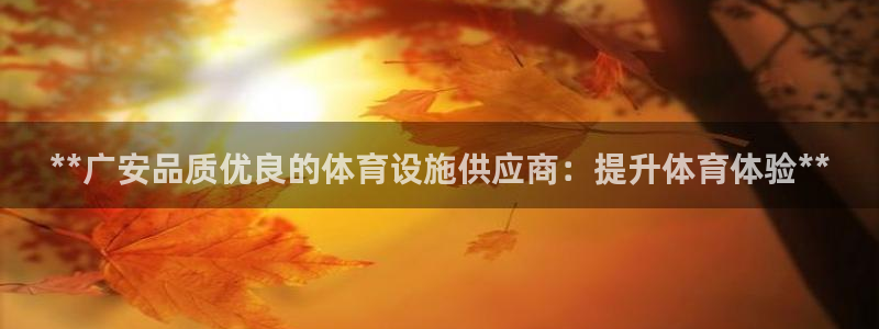 尊龙ag旗舰厅登录 租车app下载