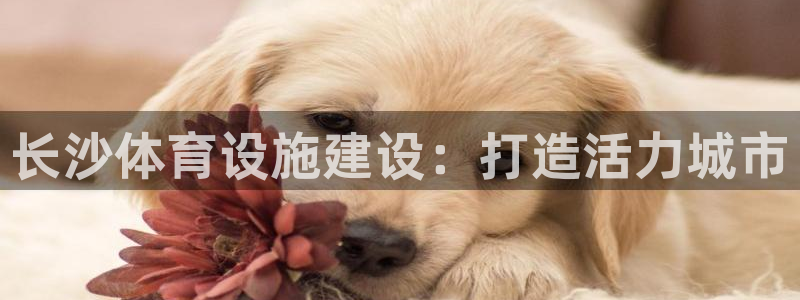 尊龙专访