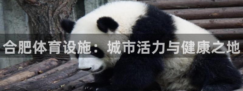 尊龙多少岁