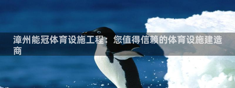 尊龙官网国际