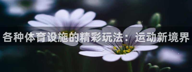 尊龙凯时的企业文化