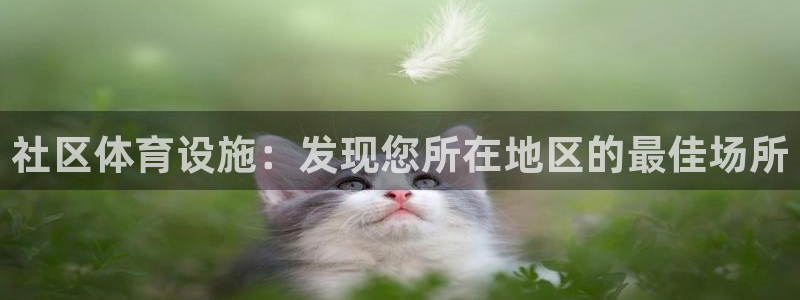 尊龙d88ag旗舰厅
