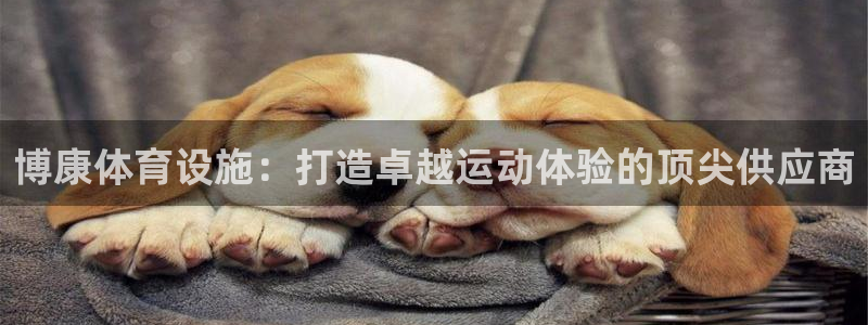 尊龙网站手机下载