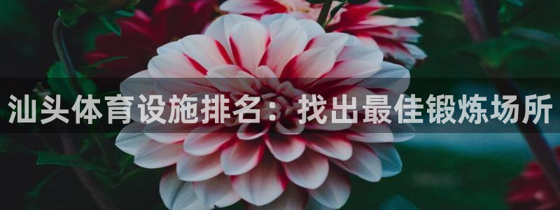 尊龙体育电竞官网