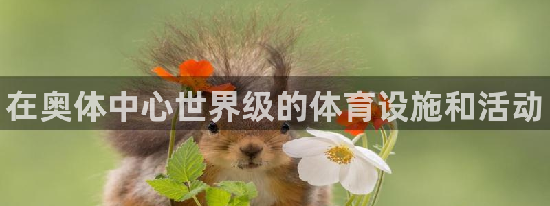 尊龙新版人生就是博!