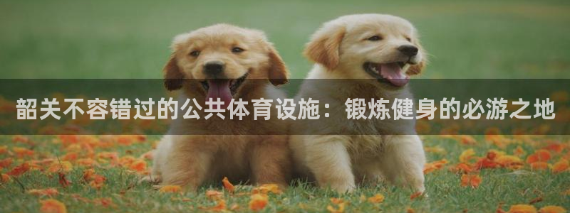 尊龙凯时有限公司