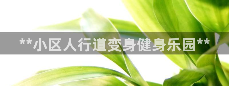尊龙游戏官网游戏特色