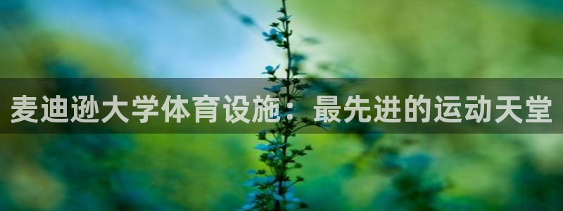 尊龙凯时是不是合法
