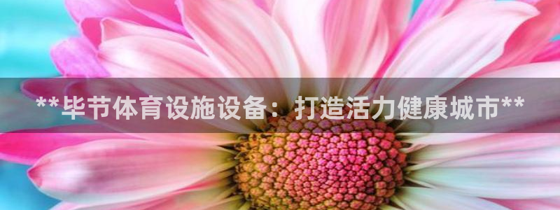 尊龙人生就是博下载