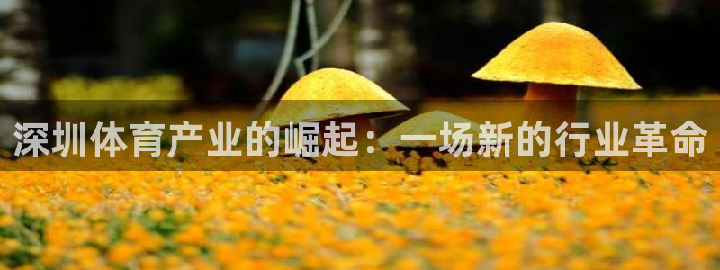 尊龙游戏app官方网站
