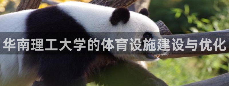 凯时k66娱乐登录