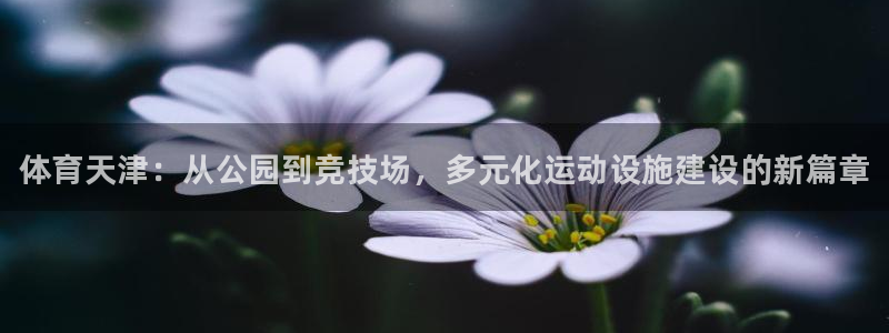 尊龙凯时代理官网入口