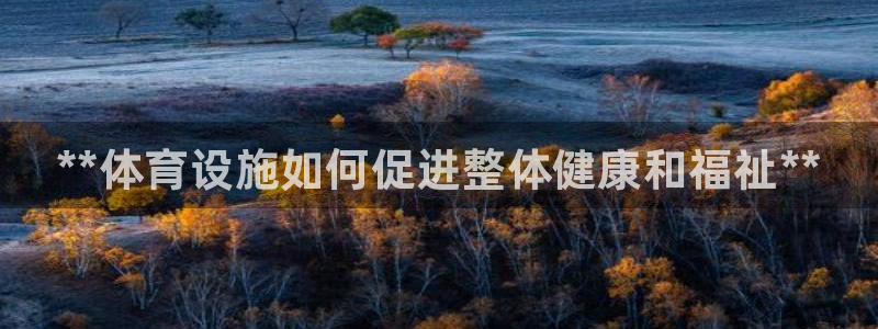 凯时ag旗舰厅网址是什么