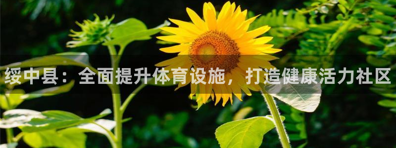 尊龙官网网页版