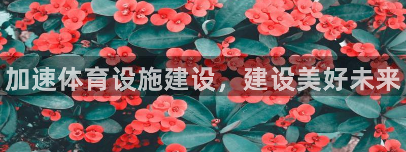 尊龙凯时代理佣金发不发