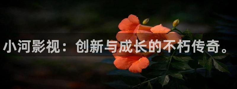 奇奇影视理论