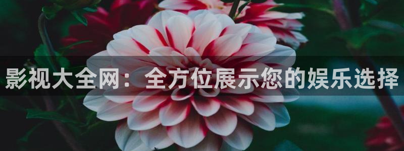 奇奇影院免费观看
