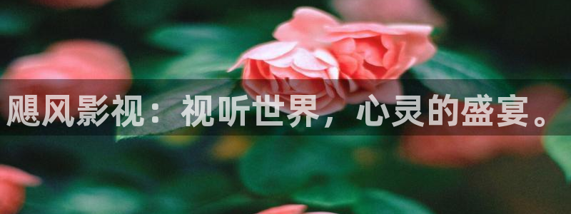 免费观看奇奇影院：飓风影视：视听世界，心灵的盛宴。
