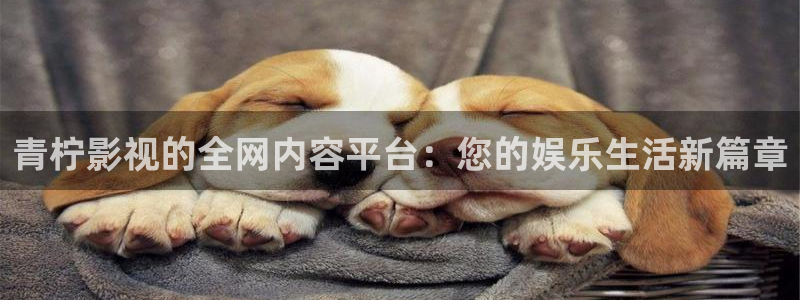 奇奇米影视第四色：青柠影视的全网内容平台：您的娱乐生活新篇章