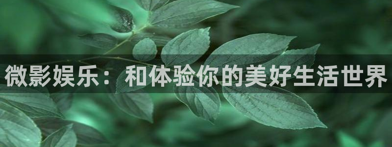 妈妈的朋友奇奇影院